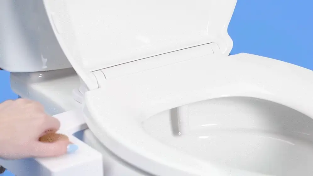 How Flushy works